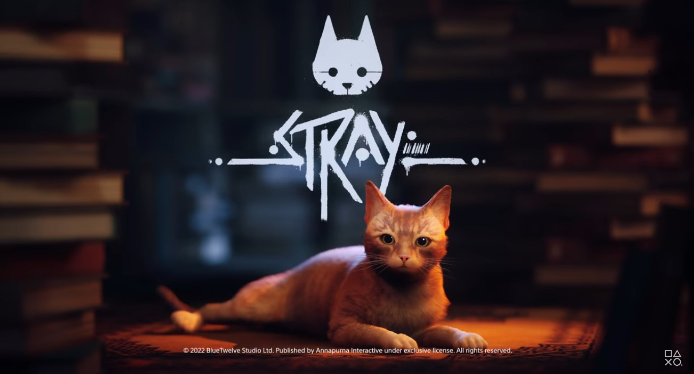 Potvrđen datum izlaska Stray gaming naslova
