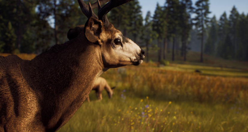 Way of the Hunter igra dobila trailer koji nas upoznaje sa lovom divljači na sjeverozapadnom pacifiku